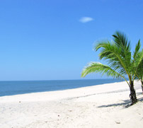 Mararikulam Beach