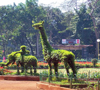 The Hanging Gardens 