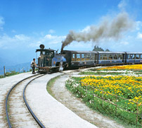 Darjeeling Himalayan Railway