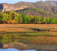 Bhamera Dam