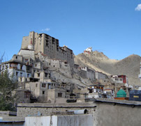 Leh Palace