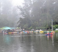 Kodaikanal Lake