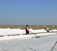 Rann of Kutch