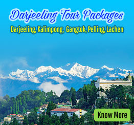 Darjeeling Calling