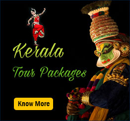 Kerala Tour Packages