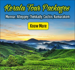 Kerala package tours