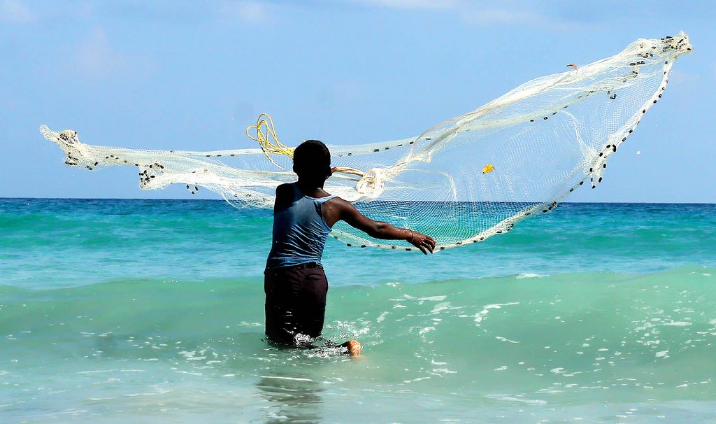 Havelock Island Holidays