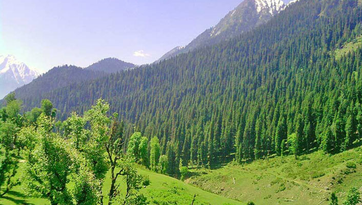 Kashmir Mountains