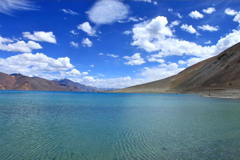 Pangong Lake Leh Ladakh