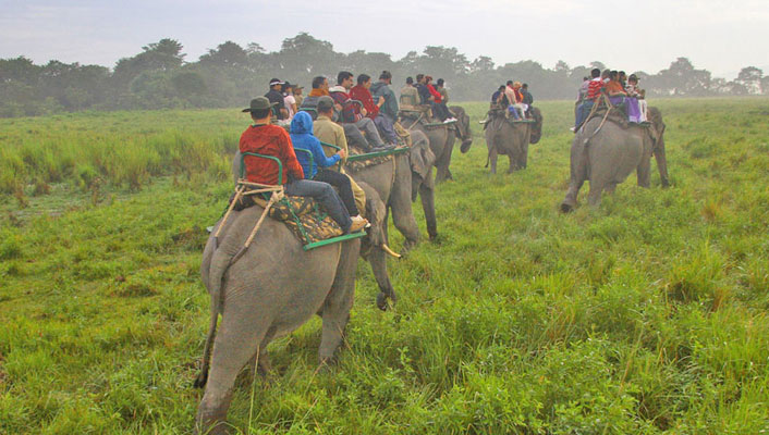 Kaziranga-National-Park