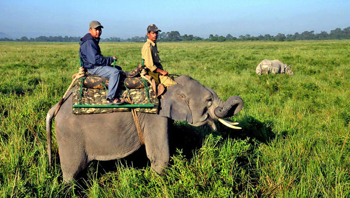 Kaziranga-National-Park