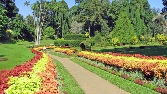 Srilanka Botanical Garden