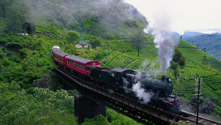 Srilanka Tea Plantation